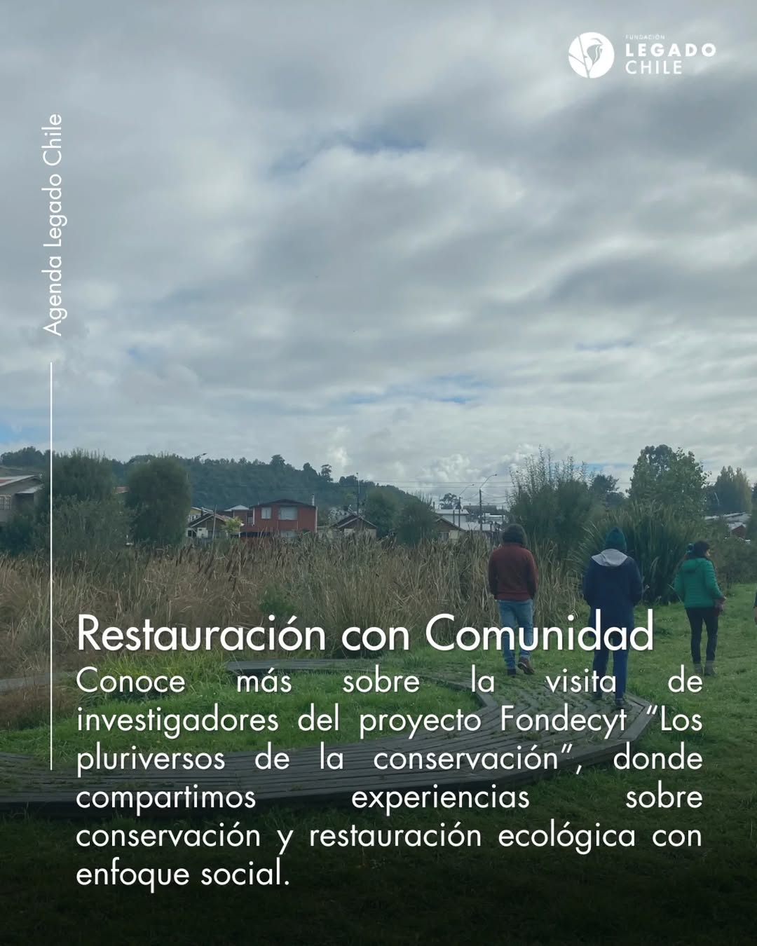 Restauración con comunidad en humedal